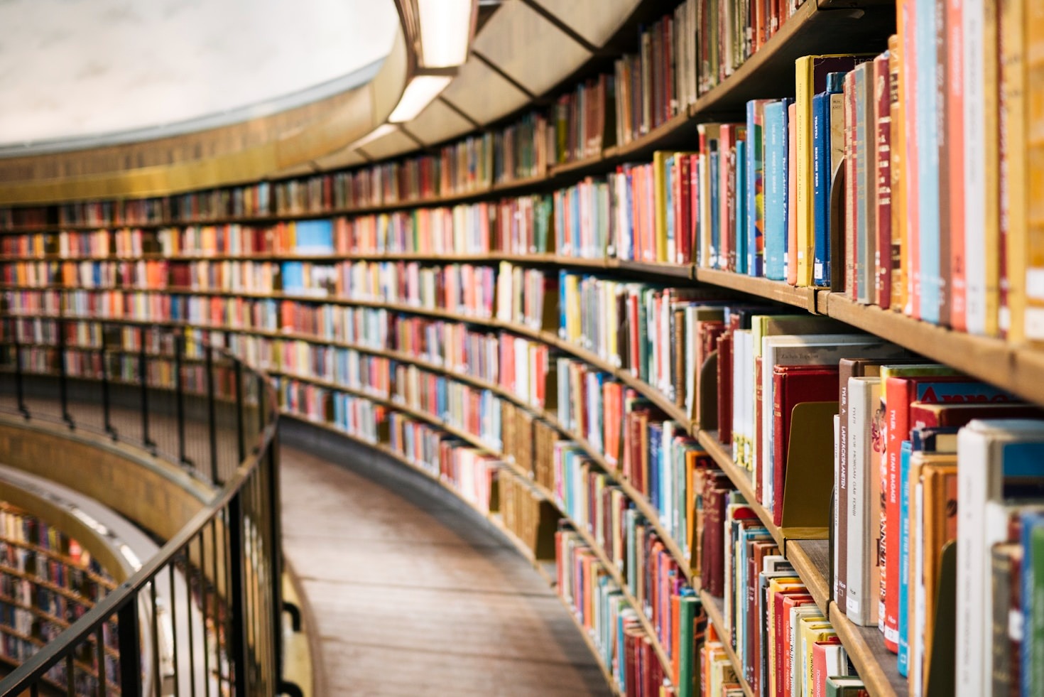 Monty Wisdom’s Advice for Aspiring Authors